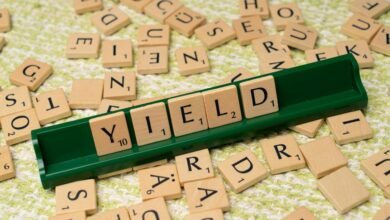 dividend yield company analysis