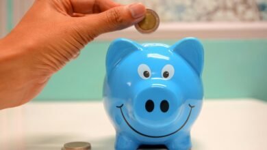 hdfc large cap fund