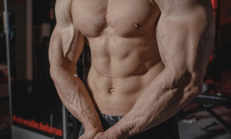 nip india flex model