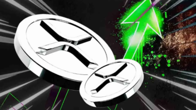 What Factors Are Driving XRP Price USDT Movements?