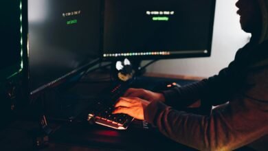 digital fraud detection process