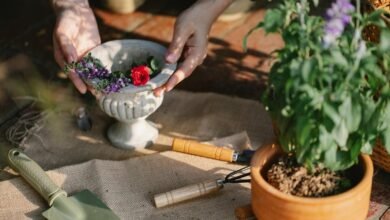 digital growth optimization tools