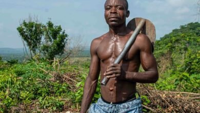 digital growth tools enhance