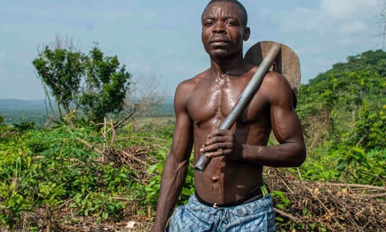 digital growth tools enhance