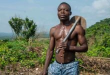 enhance growth with technology