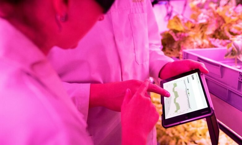 enhance your digital growth