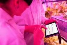 utilize digital growth tools